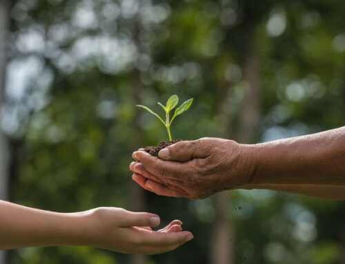 Kapitel 1 – Nachfolge im Familienunternehmen: zwischen Lebenswerk, Loslassen und nackten Zahlen
